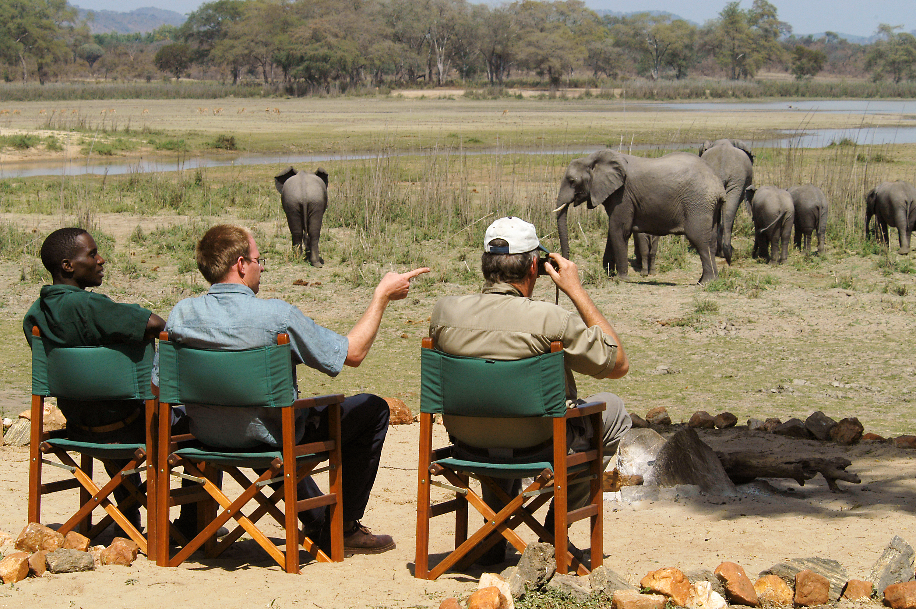 Wildlife in danger. Занзибар сафари парк. Сафари туристы. Кения сафари парк. Сафари Танзания из Занзибара.