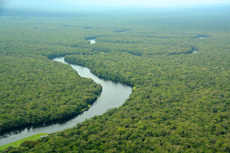 DRC's Salonga National Park removed from the List of World Heritage in ...